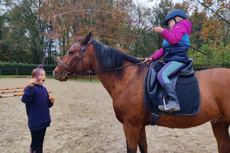 Een uniek dagkamp voor kids! Even Vitamine-Paard opdoen.