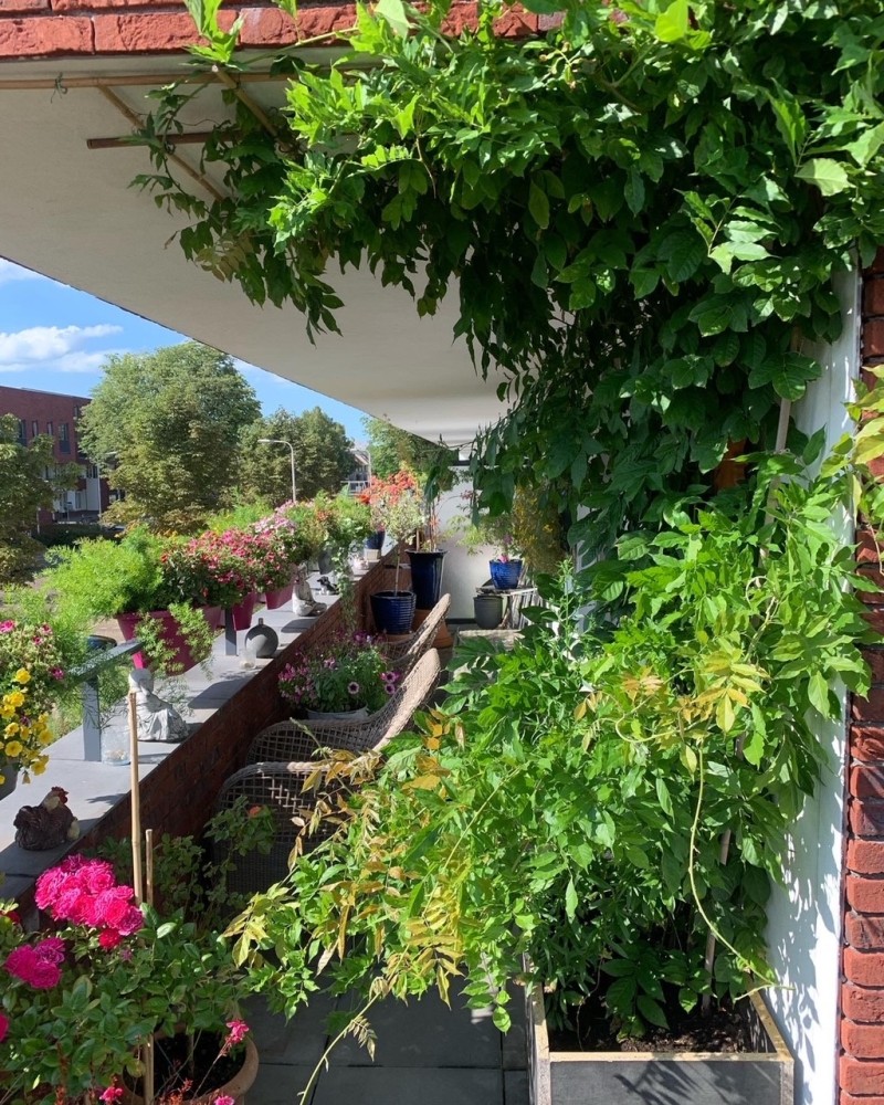 een groen balkon