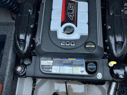 Inboard motorservice