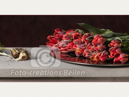 Nog 4 exemplaren beschikbaar (4 van 5)