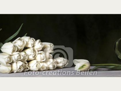 Nog 5 exemplaren beschikbaar (5 van 5)