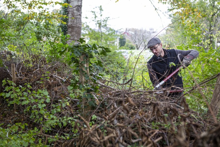 credits: natuurwerkdag.nl