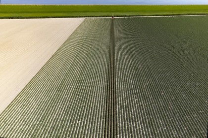 TK Foto - Dronefotografie 2