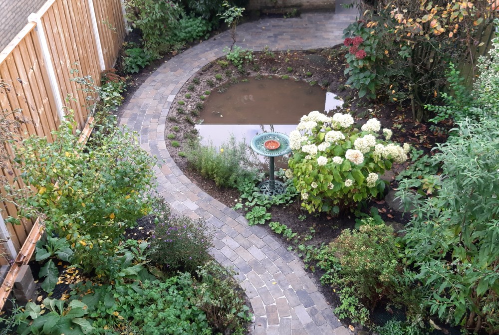 van grasveld naar wadi