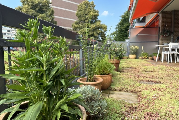 een groen balkon