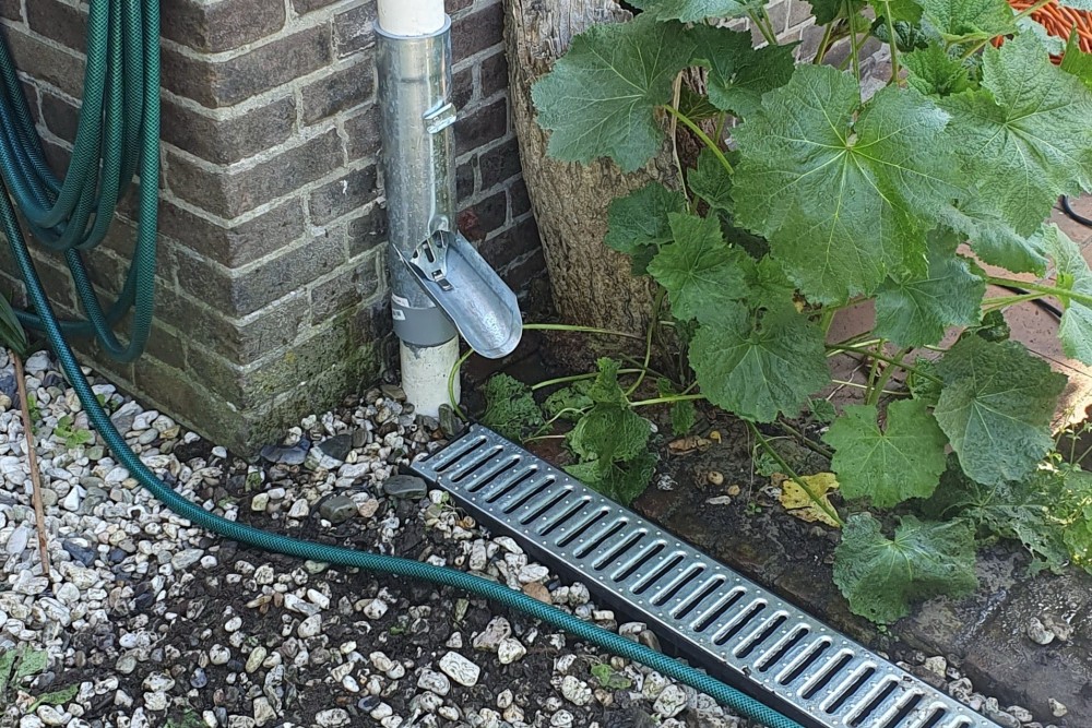 Regenpijp brengt water waar het nodig is