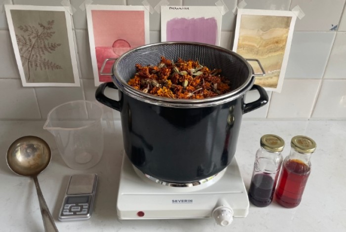 Planteninkt maken