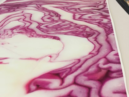 Lampenkappen Westlandsmuseum, fullcolor print