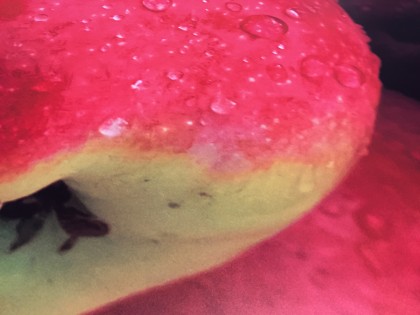 Lampenkappen Westlandsmuseum, fullcolor print