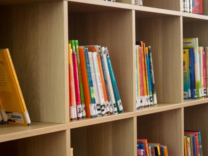 Basisschool de Ark activiteiten