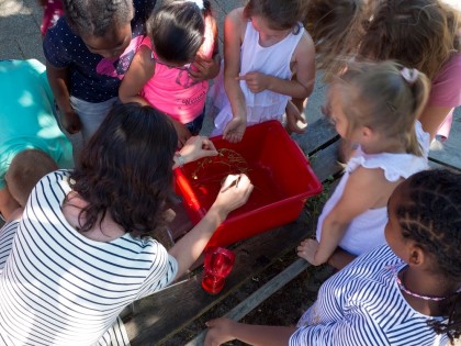 Basisschool de Ark Kunst, Cultuur en sport