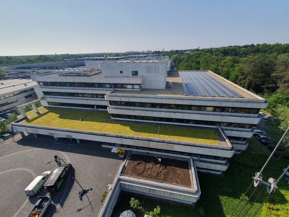 Sedumdak NOS Hilversum