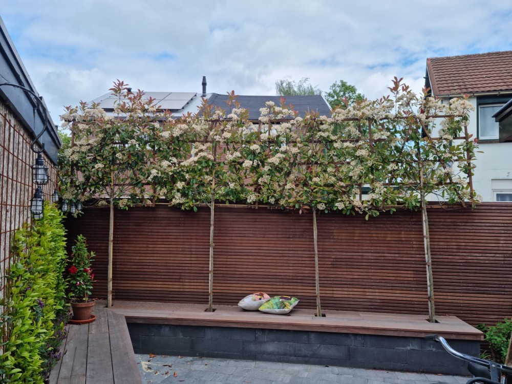 Tuinaanleg Baarn Kleine tuin, bank met plantenbak