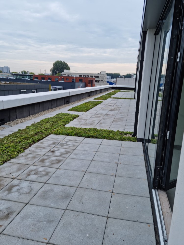 Sedumdak Rijswijk, 26 luxe bedrijfsunits