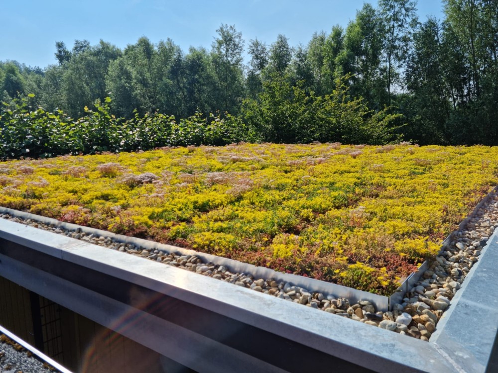 Sedumdak, Zeewolde