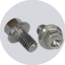 Titanium fasteners Gr4
