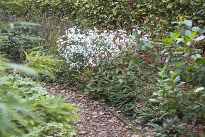 Kilmaatbesctendige border