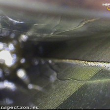 Bearing inspection in mechanical engineering