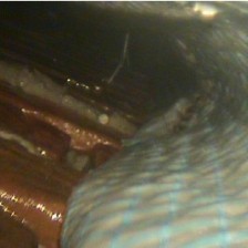 Cavity wall/crawl space inspection