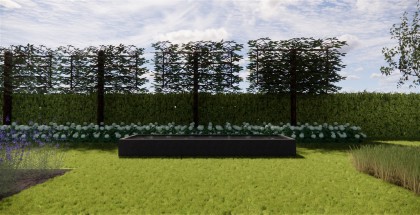 Afbeelding18