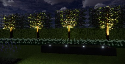 Afbeelding5