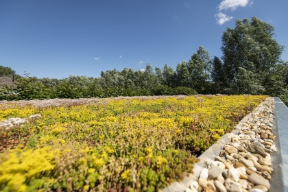 _DSC3047_bewerkt