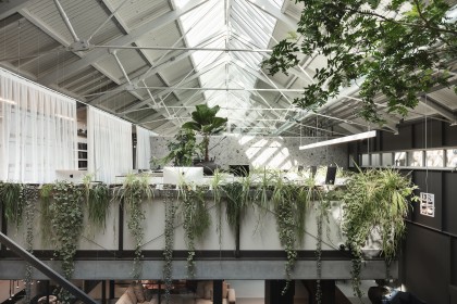 interieurbeplanting_Amsterdam_2