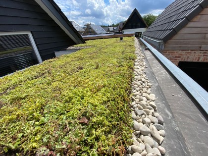 sedumdak_amersfoort_1