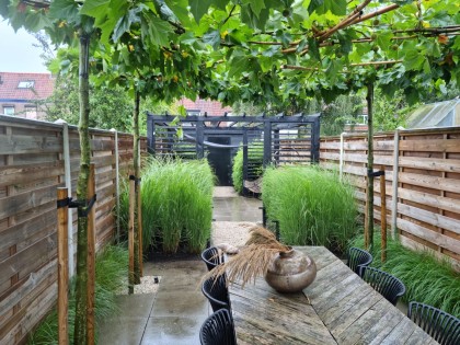 WhatsApp_Image_2023_08_03_at_17_17_15_1