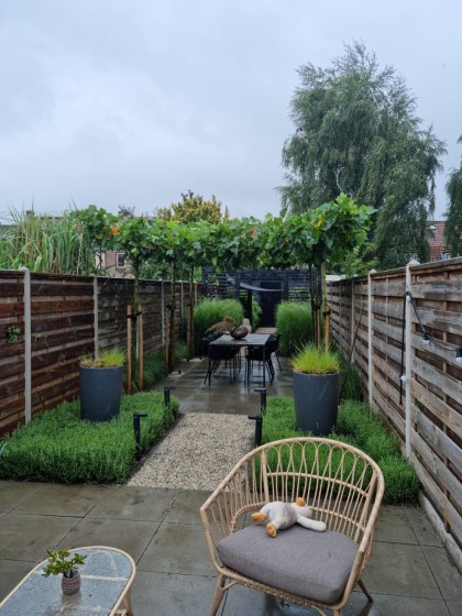 WhatsApp_Image_2023_08_03_at_17_17_17_1