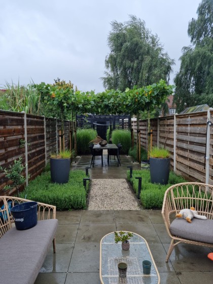 WhatsApp_Image_2023_08_03_at_17_17_18