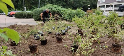 Beplanting_Hotel_Oud_London_Zeist_3