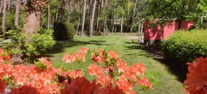 Tuinonderhoud_Doornspijk_2