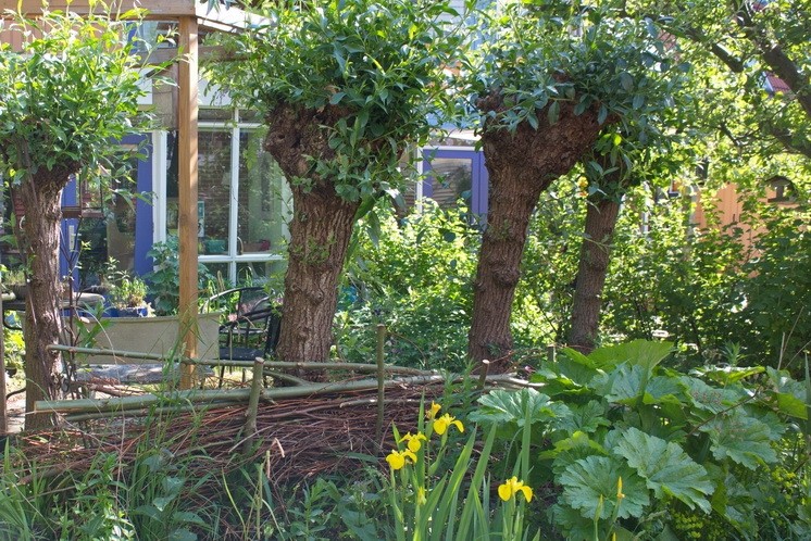 Foto Anneke Beemer - locatie Eva Lanxmeer Culemborg