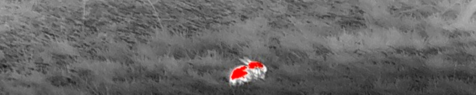 Een groep mensen die over een weiland lopen met een tellers in de handen.