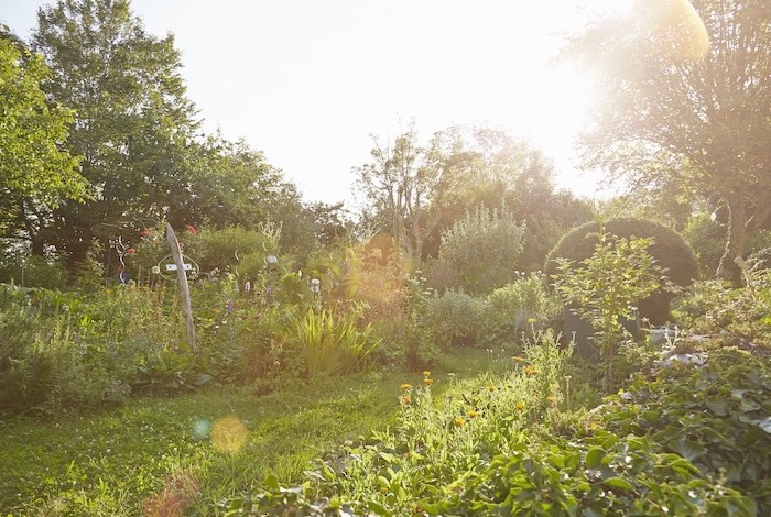 Zonnige tuin