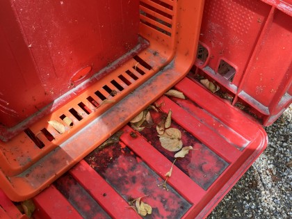 Carolien Adriaansche - Soot mould from the Linden trees