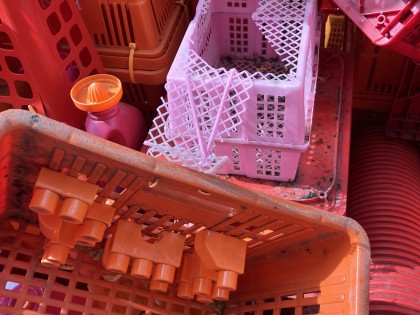 Carolien Adriaansche - Vandalism