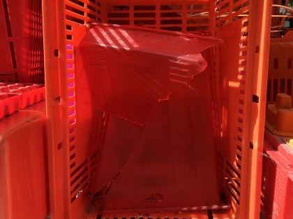 Carolien Adriaansche - Vandalism