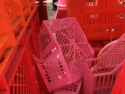 Carolien Adriaansche - Vandalism