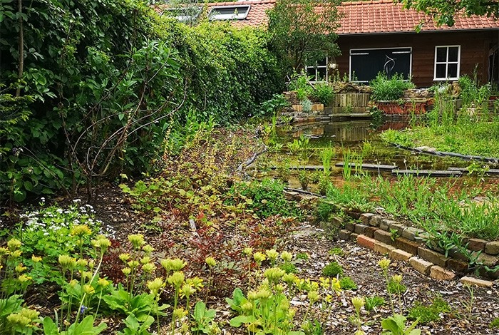 Stephensonstraat: ecologische tuin met waterreservoir, infiltratiekratten en regentonnen