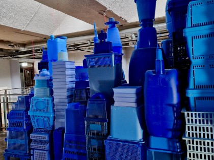 Carolien Adriaansche - De Blauwe Stad in de Groene Afslag