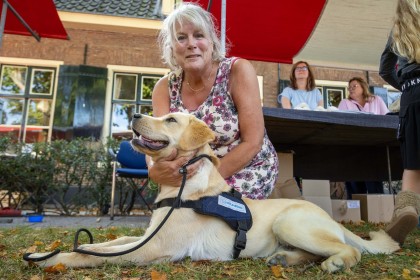 e78a08a2-0237-482f-bf93-884c2366bb8d