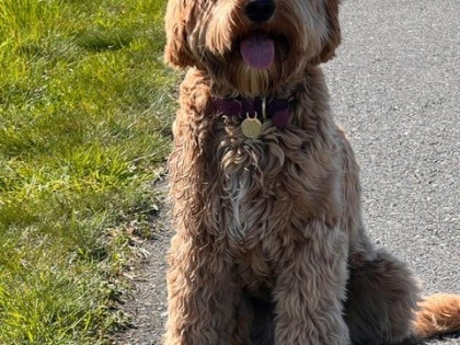 Coco