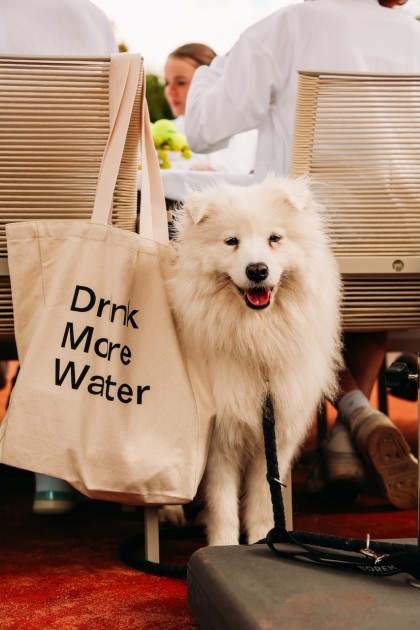 2025_HylineClub_Waterdrop_40