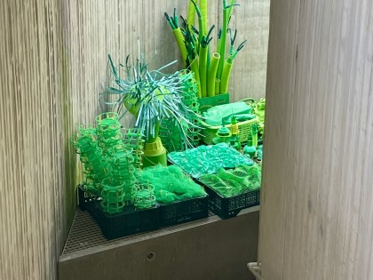 C.Adriaansche - infinitely GREEN