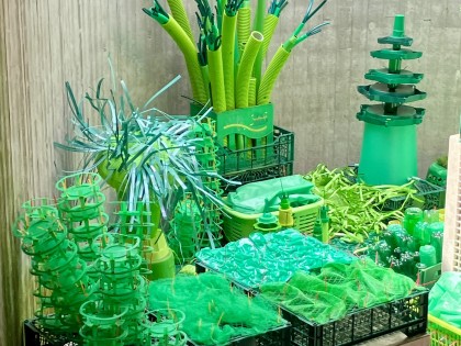 C.Adriaansche - infinitely GREEN