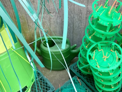 C.Adriaansche - infinitely GREEN