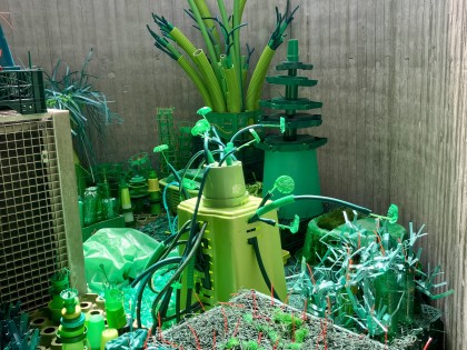 C.Adriaansche - infinitely GREEN