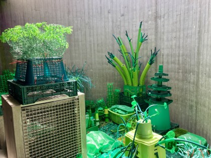 C.Adriaansche - infinitely GREEN